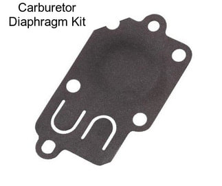 Carburetor Diaphragm Kit