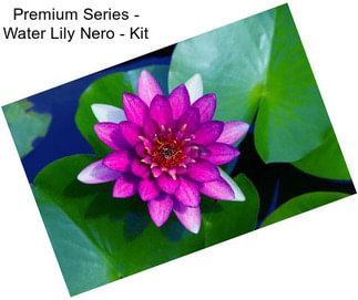 Premium Series - Water Lily Nero - Kit