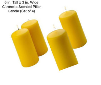 6 in. Tall x 3 in. Wide Citronella Scented Pillar Candle (Set of 4)