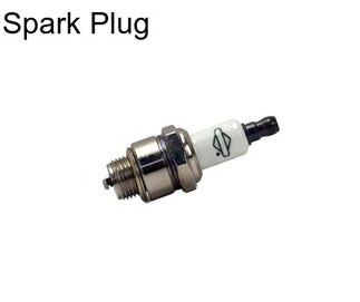 Spark Plug