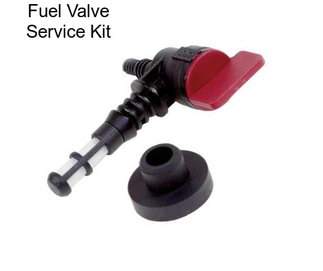 Fuel Valve Service Kit