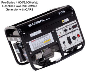 Pro-Series 4,000/3,000-Watt Gasoline Powered Portable Generator with CARB