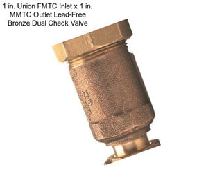 1 in. Union FMTC Inlet x 1 in. MMTC Outlet Lead-Free Bronze Dual Check Valve