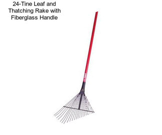 24-Tine Leaf and Thatching Rake with Fiberglass Handle