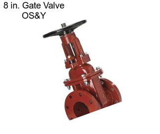 8 in. Gate Valve OS&Y