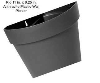 Rio 11 in. x 9.25 in. Anthracite Plastic Wall Planter