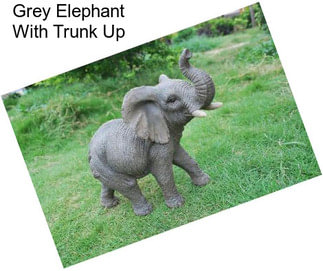 Grey Elephant With Trunk Up