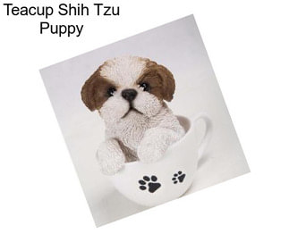 Teacup Shih Tzu Puppy