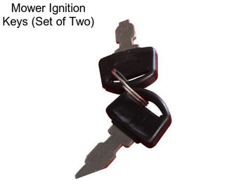 Mower Ignition Keys (Set of Two)