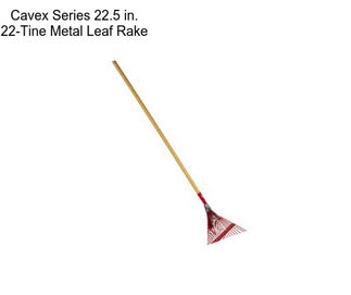 Cavex Series 22.5 in. 22-Tine Metal Leaf Rake