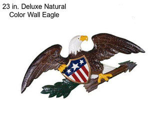 23 in. Deluxe Natural Color Wall Eagle