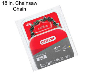 18 in. Chainsaw Chain