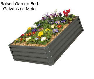 Raised Garden Bed- Galvanized Metal