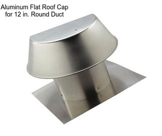 Aluminum Flat Roof Cap for 12 in. Round Duct