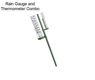 Rain Gauge and Thermometer Combo