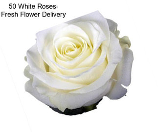50 White Roses- Fresh Flower Delivery
