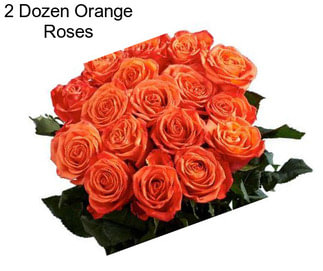 2 Dozen Orange Roses