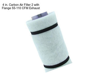 4 in. Carbon Air Filter 2 with Flange 55-110 CFM Exhaust