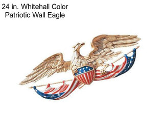 24 in. Whitehall Color Patriotic Wall Eagle