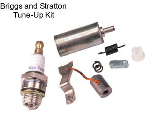 Briggs and Stratton Tune-Up Kit