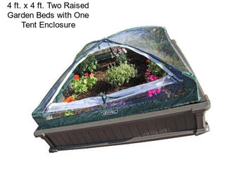 4 ft. x 4 ft. Two Raised Garden Beds with One Tent Enclosure