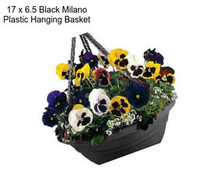 17 x 6.5 Black Milano Plastic Hanging Basket