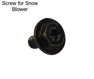 Screw for Snow Blower