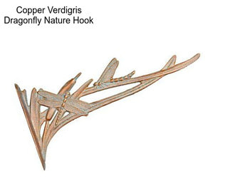 Copper Verdigris Dragonfly Nature Hook