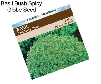Basil Bush Spicy Globe Seed