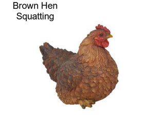 Brown Hen Squatting