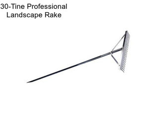 30-Tine Professional Landscape Rake