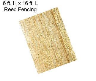 6 ft. H x 16 ft. L Reed Fencing