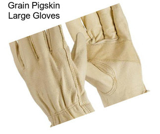 Grain Pigskin Large Gloves