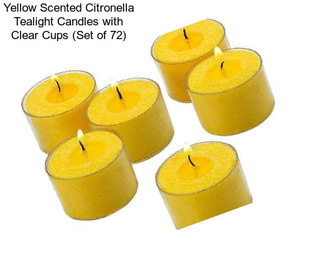 Yellow Scented Citronella Tealight Candles with Clear Cups (Set of 72)
