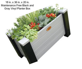 18 in. x 36 in. x 20 in. Maintenance Free Black and Gray Vinyl Planter Box