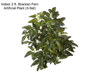 Indoor 2 ft. Bracken Fern Artificial Plant (3-Set)