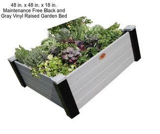 48 in. x 48 in. x 18 in. Maintenance Free Black and Gray Vinyl Raised Garden Bed