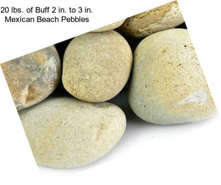 20 lbs. of Buff 2 in. to 3 in. Mexican Beach Pebbles