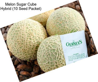 Melon Sugar Cube Hybrid (10 Seed Packet)
