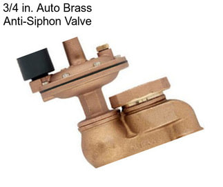 3/4 in. Auto Brass Anti-Siphon Valve