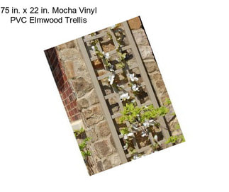 75 in. x 22 in. Mocha Vinyl PVC Elmwood Trellis