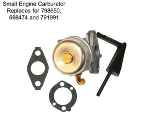 Small Engine Carburetor Replaces for 798650, 698474 and 791991