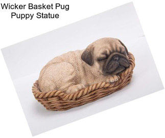 Wicker Basket Pug Puppy Statue