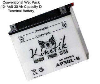 Conventional Wet Pack 12- Volt 30 Ah Capacity D Terminal Battery