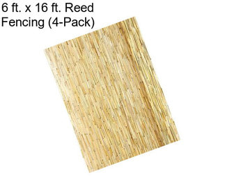 6 ft. x 16 ft. Reed Fencing (4-Pack)
