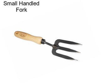 Small Handled Fork