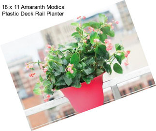 18 x 11 Amaranth Modica Plastic Deck Rail Planter