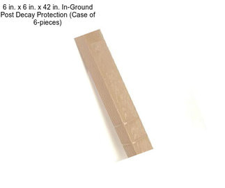 6 in. x 6 in. x 42 in. In-Ground Post Decay Protection (Case of 6-pieces)