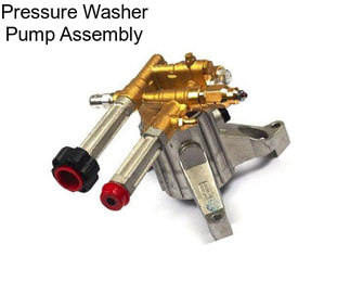 Pressure Washer Pump Assembly