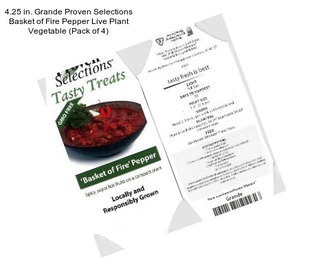 4.25 in. Grande Proven Selections Basket of Fire Pepper Live Plant Vegetable (Pack of 4)